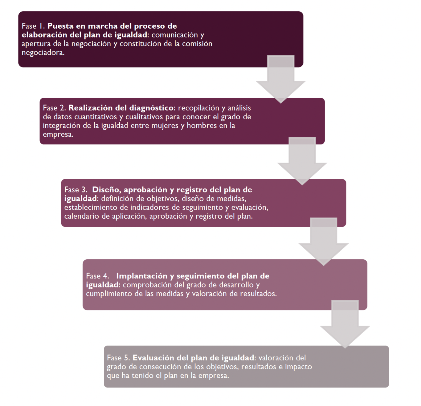Diagrama de flujo del proceso de planificación del plan de igualdad en cinco fases.